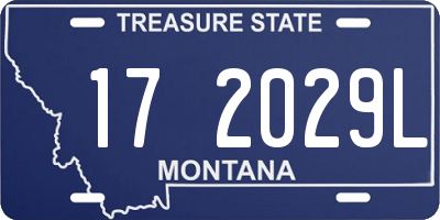 MT license plate 172029L