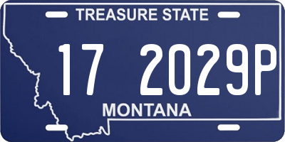 MT license plate 172029P
