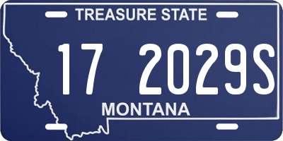 MT license plate 172029S