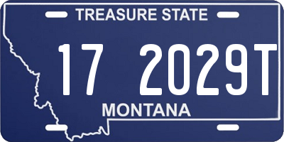 MT license plate 172029T