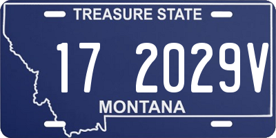 MT license plate 172029V