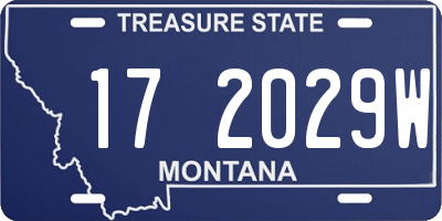 MT license plate 172029W