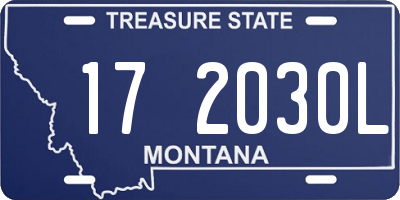 MT license plate 172030L