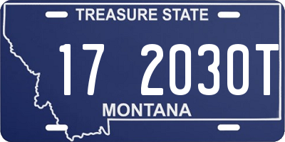 MT license plate 172030T