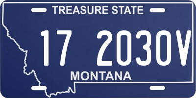 MT license plate 172030V