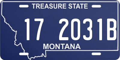 MT license plate 172031B