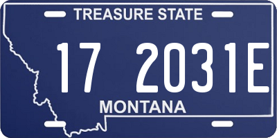 MT license plate 172031E