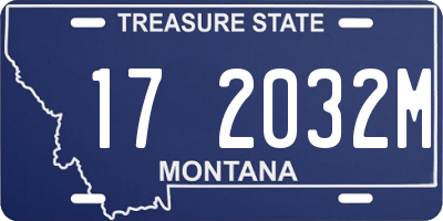 MT license plate 172032M