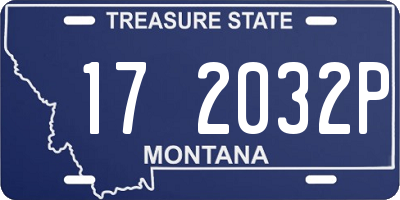 MT license plate 172032P