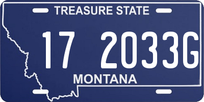 MT license plate 172033G