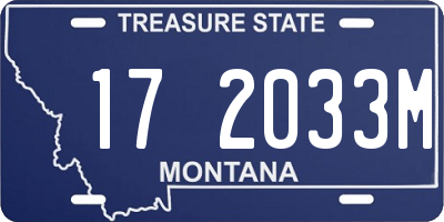 MT license plate 172033M