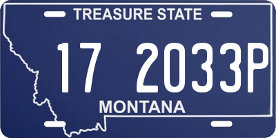 MT license plate 172033P