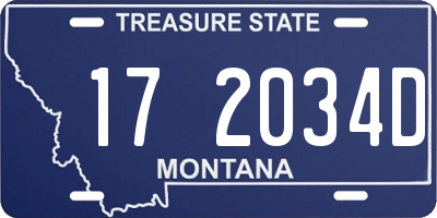 MT license plate 172034D