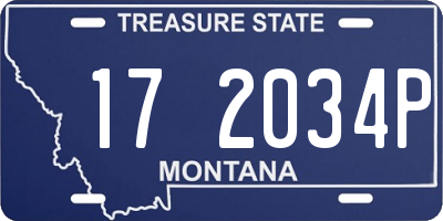 MT license plate 172034P