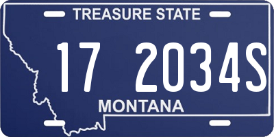 MT license plate 172034S