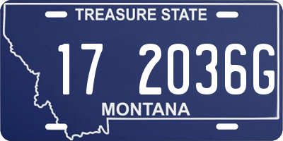MT license plate 172036G