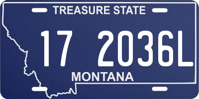MT license plate 172036L