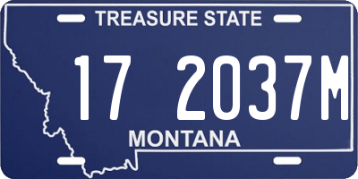 MT license plate 172037M