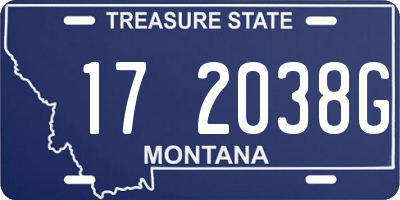 MT license plate 172038G