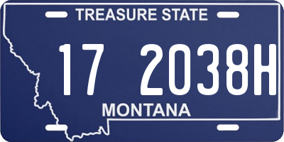 MT license plate 172038H