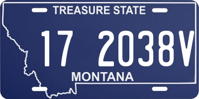 MT license plate 172038V
