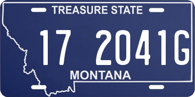 MT license plate 172041G