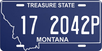 MT license plate 172042P