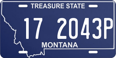 MT license plate 172043P