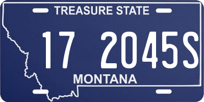 MT license plate 172045S