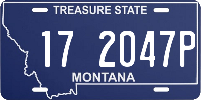 MT license plate 172047P