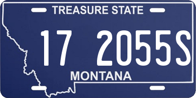 MT license plate 172055S