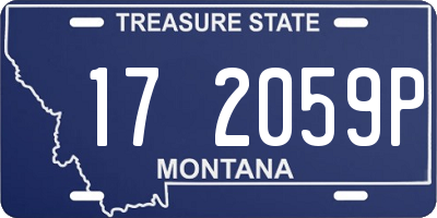 MT license plate 172059P