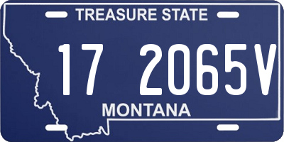 MT license plate 172065V