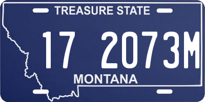 MT license plate 172073M