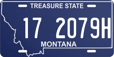 MT license plate 172079H