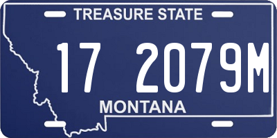 MT license plate 172079M