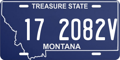 MT license plate 172082V
