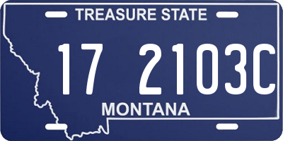 MT license plate 172103C