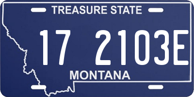 MT license plate 172103E