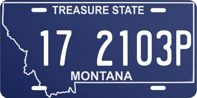MT license plate 172103P
