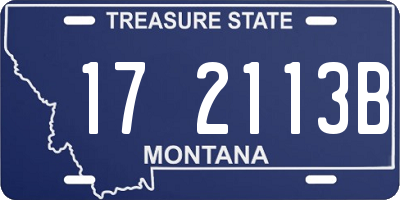 MT license plate 172113B