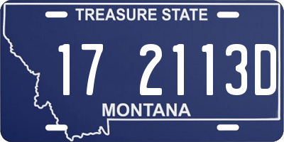 MT license plate 172113D