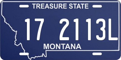 MT license plate 172113L