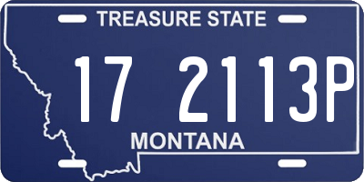 MT license plate 172113P