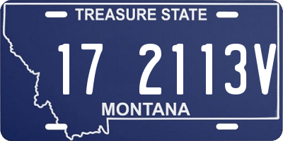 MT license plate 172113V