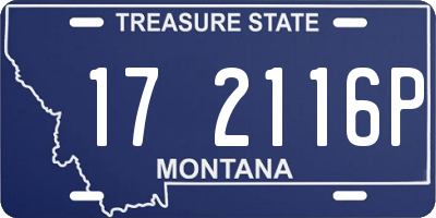MT license plate 172116P