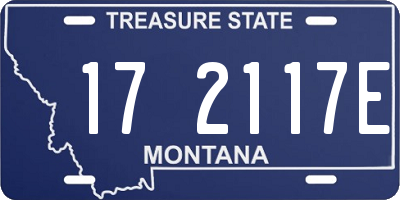 MT license plate 172117E