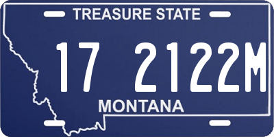 MT license plate 172122M