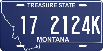 MT license plate 172124K