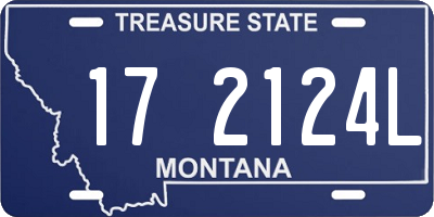 MT license plate 172124L